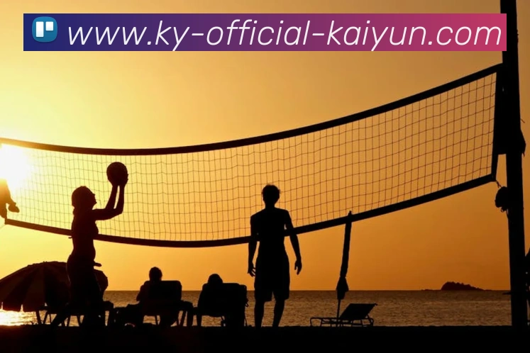 开云APP 高清赛事图